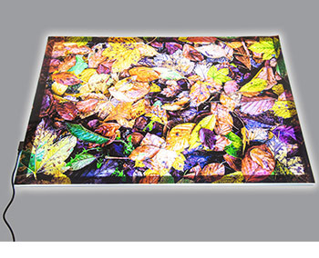 A2 Light Panel & Lake Autumn Leaves Mat