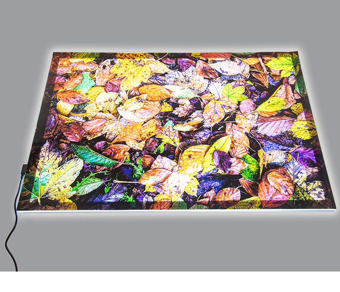 A2 Light Panel & Lake Autumn Leaves Mat